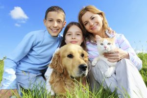 animal smart pet franchise