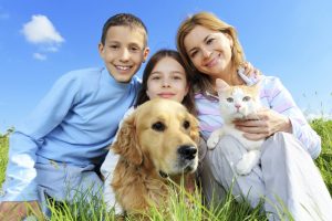 animal smart pet franchise